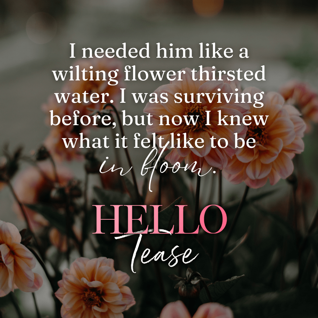 Hello Tease